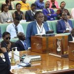 Call for Plenary Applications- 7th National Youth Parliament 9th August 2024